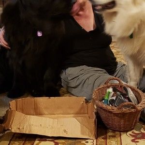 Meet your Posher, Jan